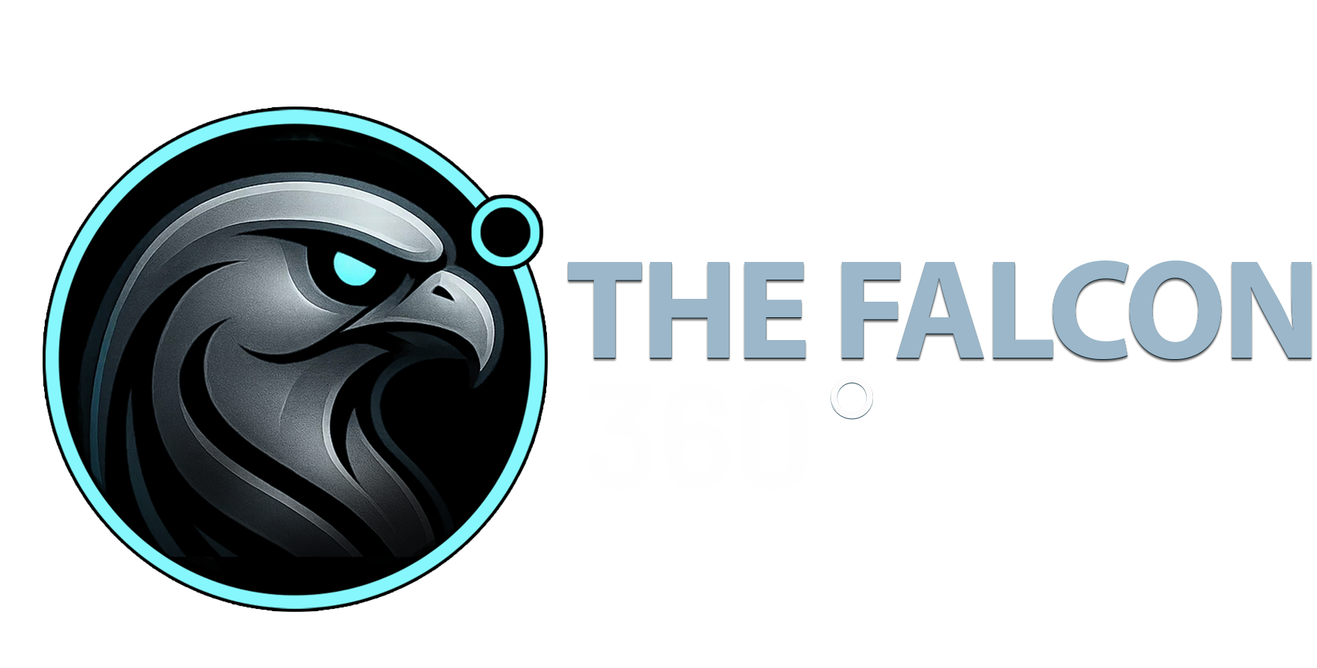 The Falcon 360