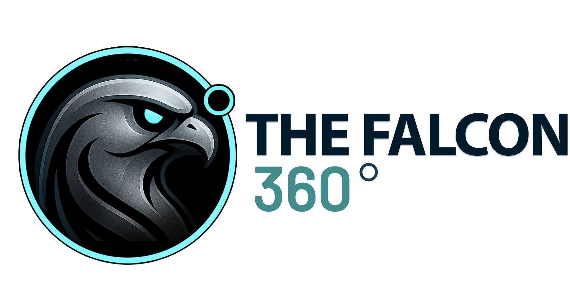 The Falcon 360